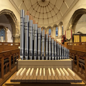 Portative organ kit